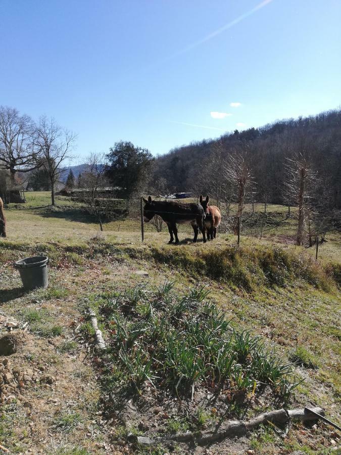 Casa Can Boix La Vall de Bianya Exteriör bild